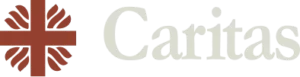 criação de site para hospitais