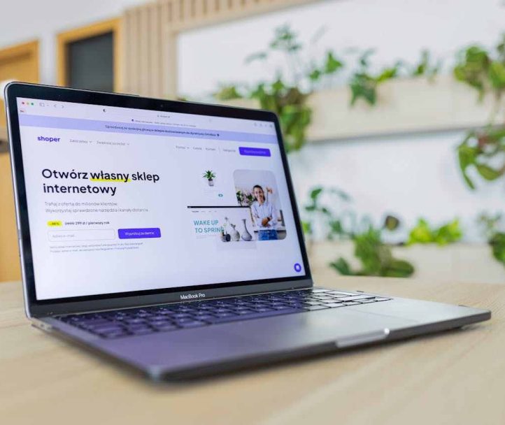 site b2b com foco em seo: vale a pena para empresas de nicho?