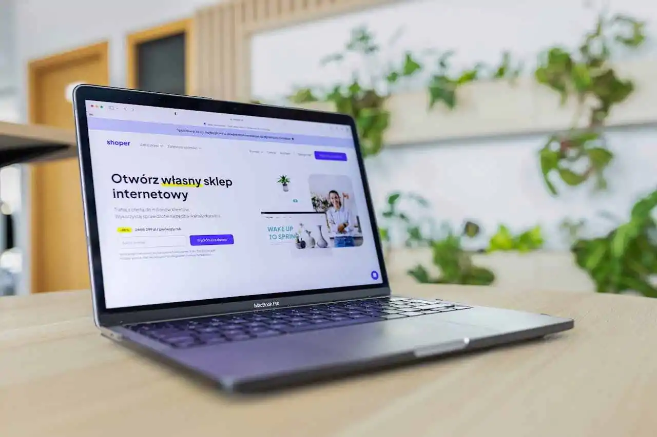 site b2b com foco em seo: vale a pena para empresas de nicho?